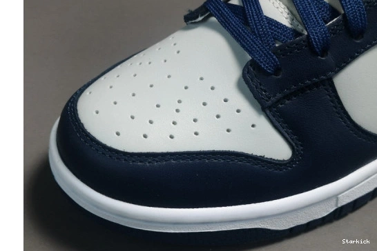 Low Georgetown Nike CW1590-004 Dunk 1005